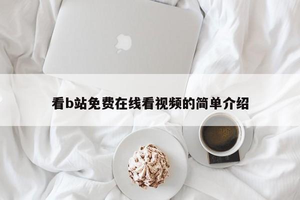 看b站免费在线看视频的简单介绍