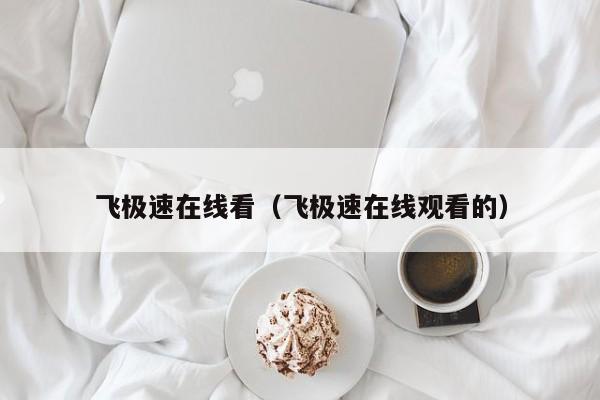 飞极速在线看(飞极速在线观看的)